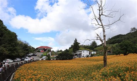 社區有什麼|你住的是「村里」還是「社區」？這就是為什麼台灣需要一部「社。